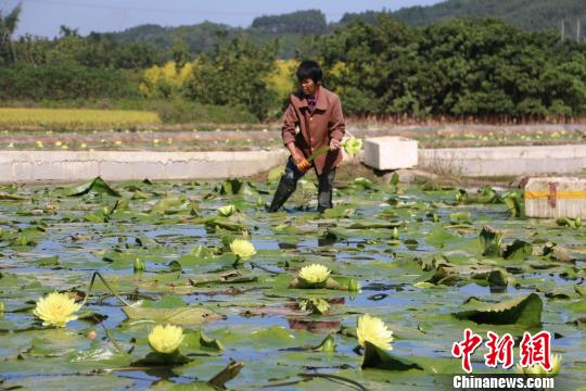 2020人均GDP翻一番_牛!深圳福田2020年GDP约4800亿元,2030计划再翻一番(2)