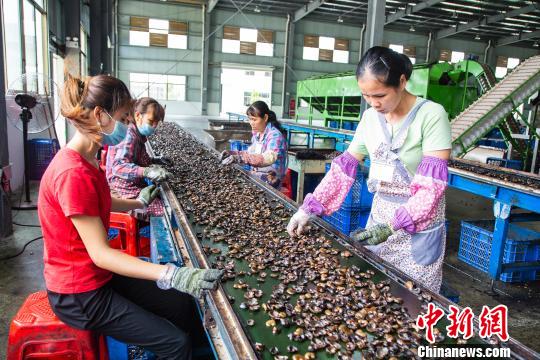 广西东兴gdp_内江市东兴区确定未来五年“小目标”:GDP总量力争突破300亿元