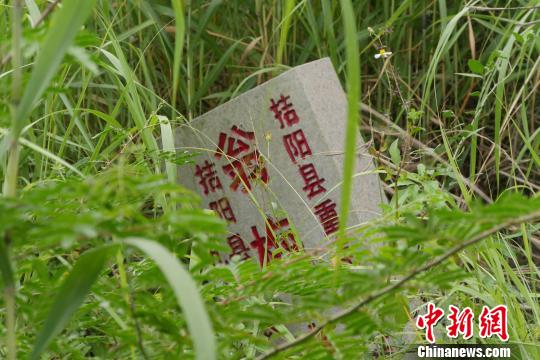 翁梅齋墓墓丘西側的文保單位石碑深藏雜草中。 陳啟任 攝