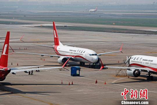  上海航空公司的9架波音737MAX机型飞机停在虹桥国际机场停机坪上，工作人员正在对飞机进行检查。　殷立勤 摄