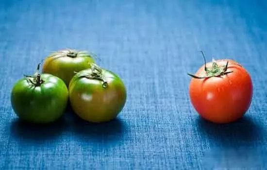 所有人 这几种常见的食物容易中毒,千万要当心!