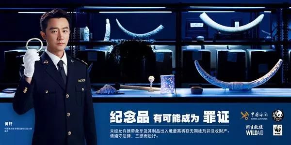 中国实施象牙全面禁贸令一周年之际,黄轩出镜的公益广告在网上刷屏。