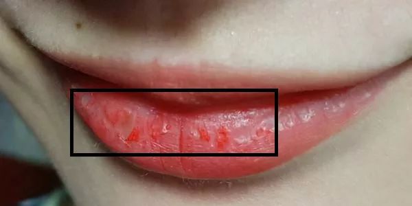 值得买丨养出诱人嘟嘟唇30块钱的口红也能涂出300块的效果