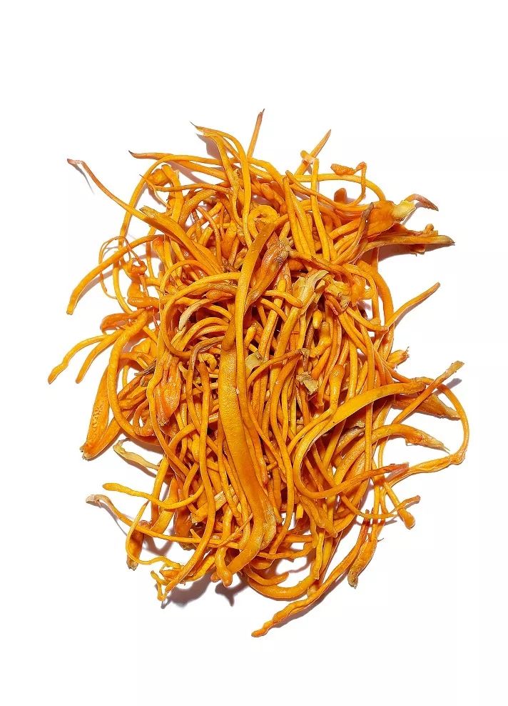 冬虫夏草太贵这种花是最理想的代用品