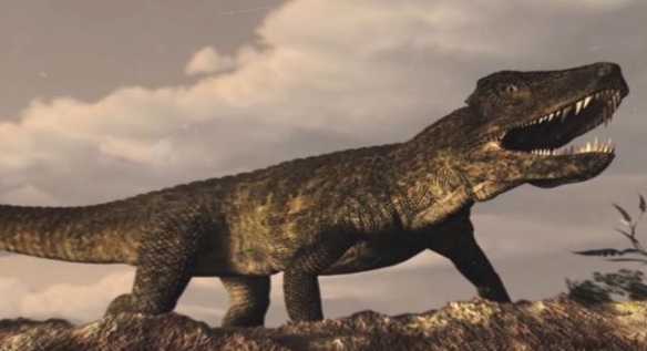 关于后鳄龙是二足,还是四足动物,以及其采取步态,目前还有争议.