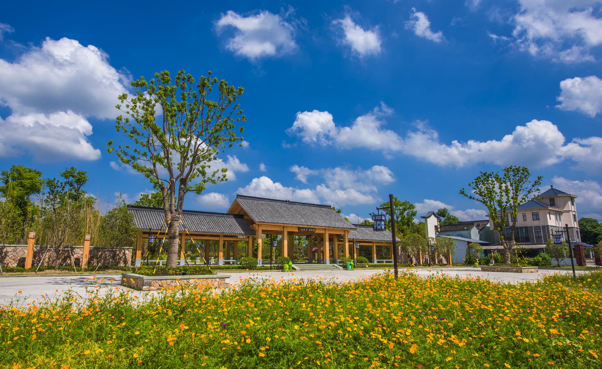 江南小乌镇 田园新生活 嘉兴将画就美丽乡村新画卷|嘉善|南湖|美丽乡