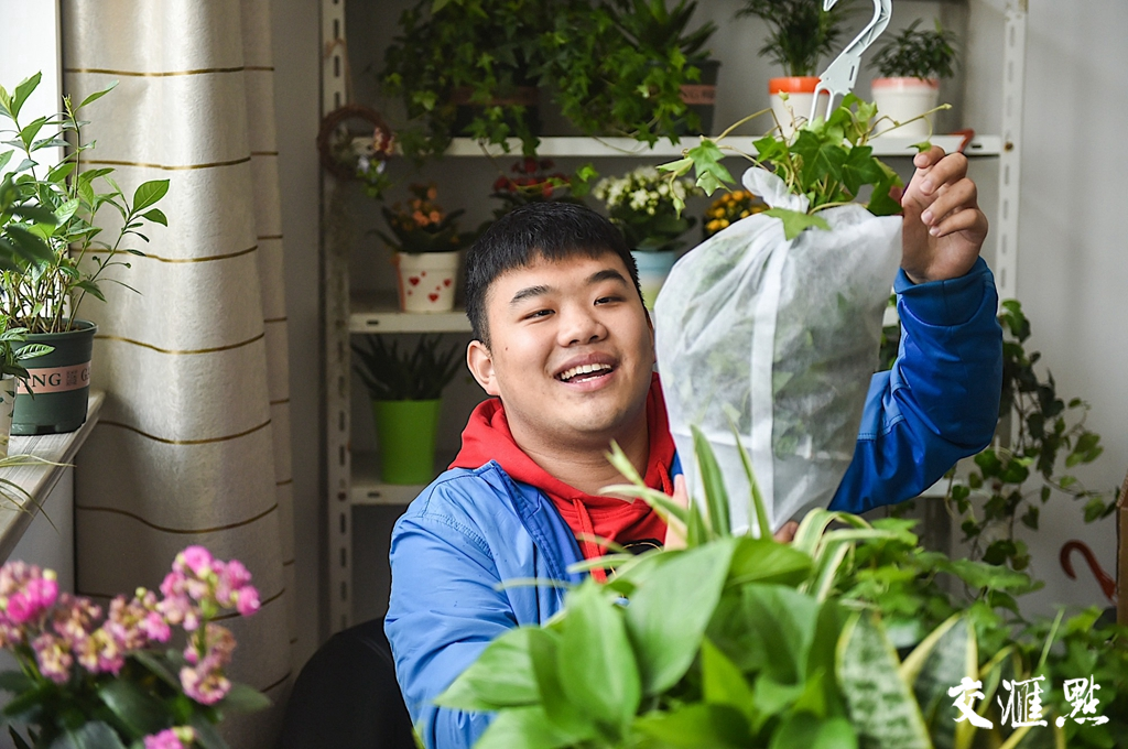 微笑哥直播间月售万元绿植