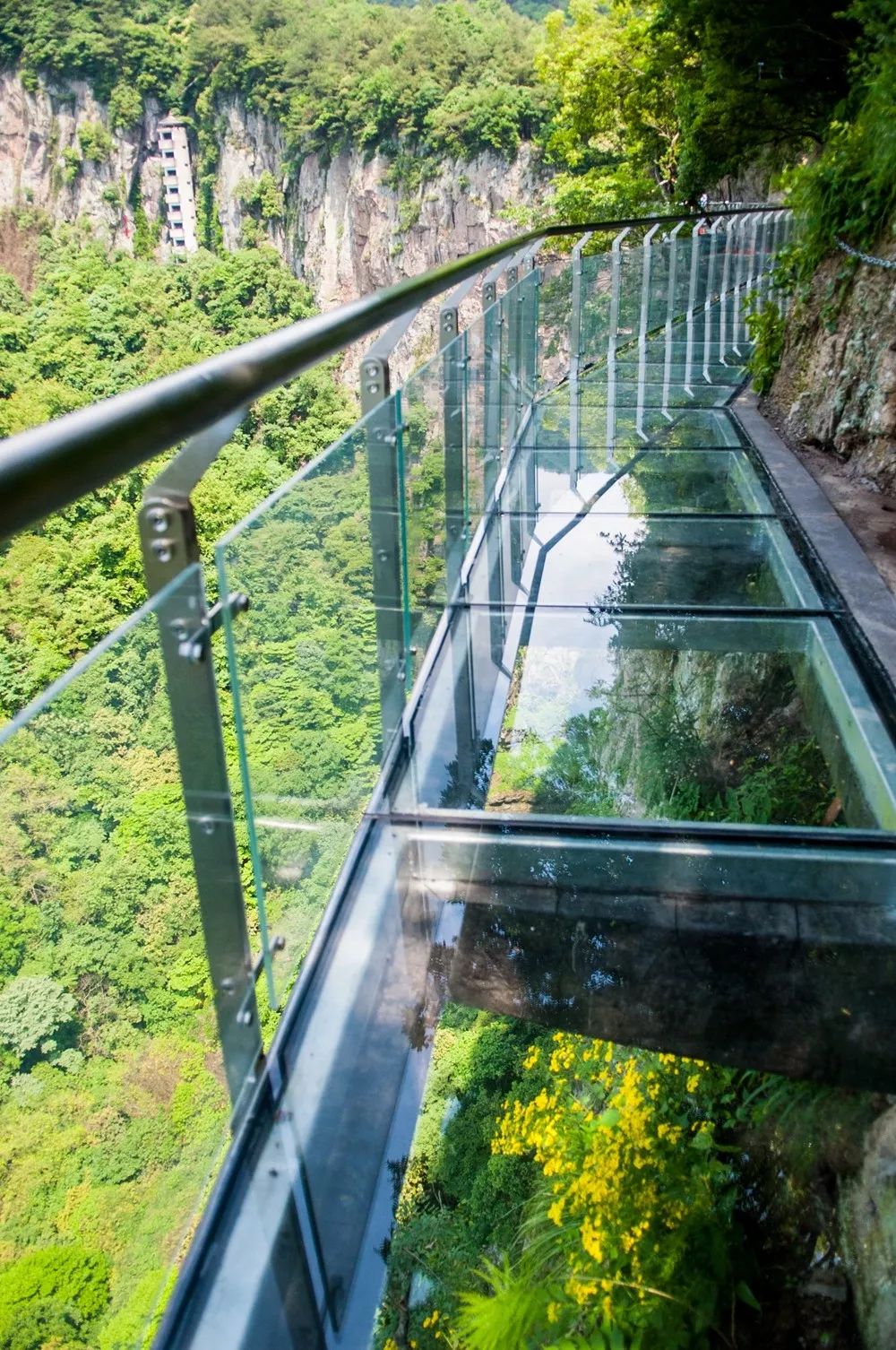 终于来了!浙江最长高空玻璃栈道全面开放!敢走我敬你是条汉子!