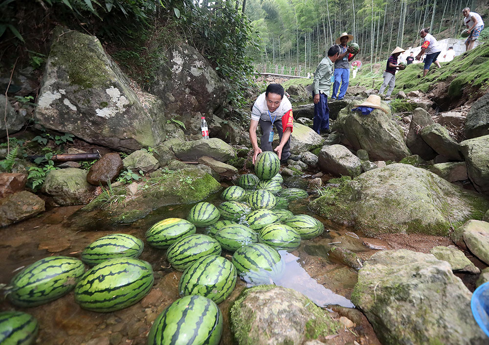 浙江:夏季到竹乡去纳凉