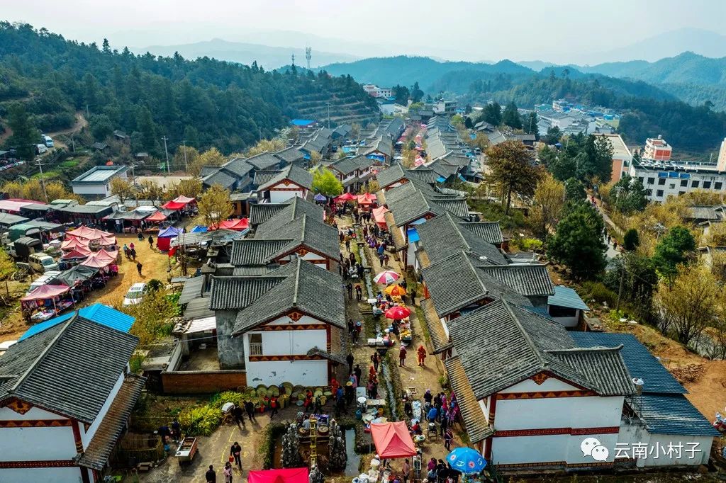 大姚昙华不只有插花节,还有古老村寨,峡谷飞瀑,整个乡是3a级景区