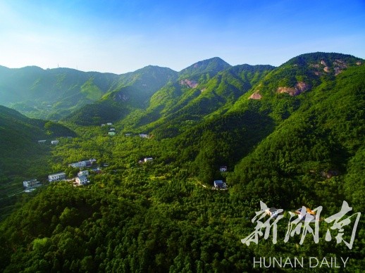 [衡阳] 南岳:退耕还林 村庄披绿