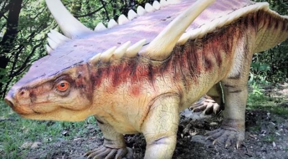 链鳄是最大型的坚蜥目动物之一,身长5米,高度约1.5米.