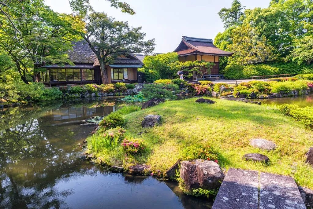 疫情之下的境外旅游: “失宠”的何止日本奈良公园的鹿