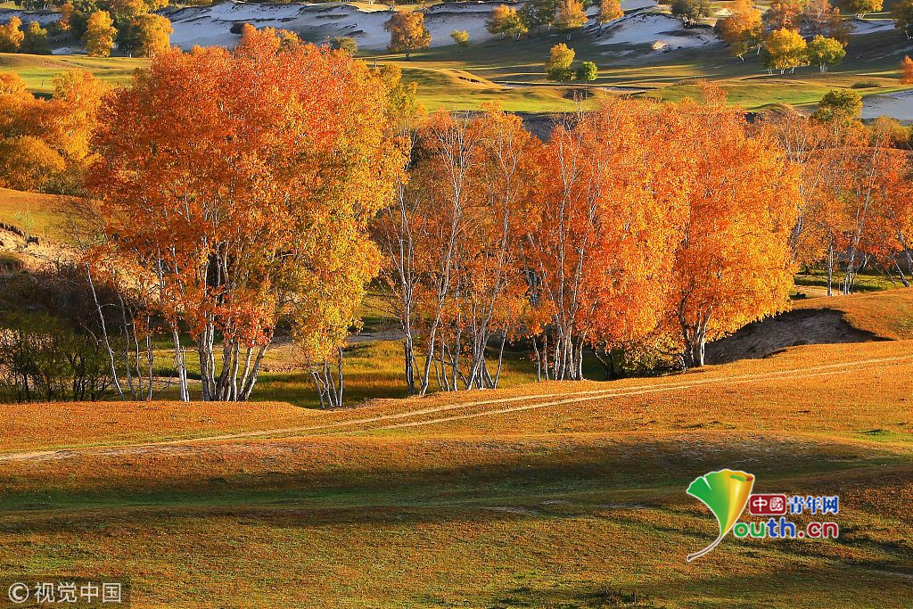 内蒙古乌兰布统草原入秋 色彩斑斓煞是好看