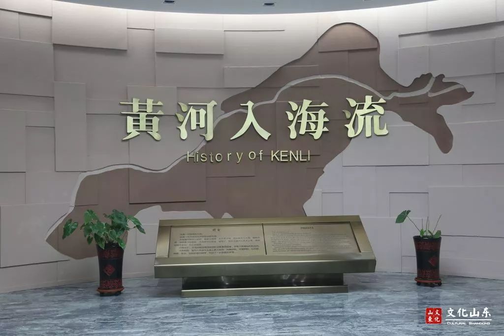 【漫游】金秋二日游黄河入海口-东营二日游|清风湖公园|二日游|黄河_