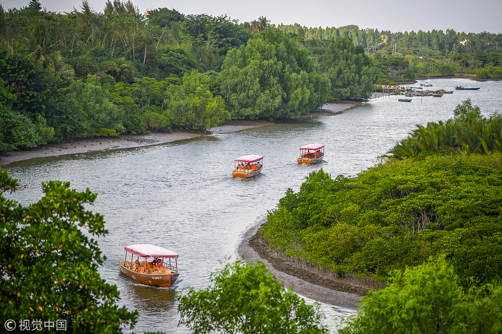 海南东北线:这里拥有最大的两片红树林