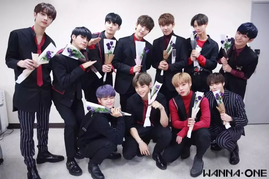 中国偶像男团生存启示录