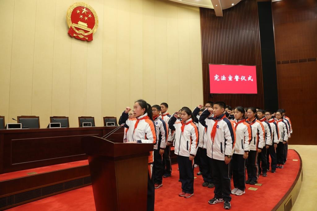 一场特殊的宪法宣誓仪式,在江苏省人大常委会会议厅举行