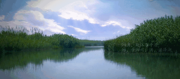 ▽洪泽湖郁郁葱葱芦苇荡▽洪泽湖湿地荷叶▽生态世纪公园有人说,泗洪