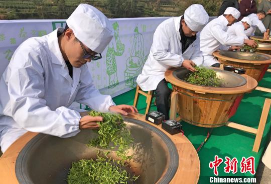 凯)屈原故里湖北秭归县12日在茅坪镇建东村白茶基地举行早茶开园仪式