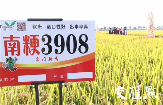 优良食味粳稻品种又添新成员南粳3908在苏南和沿江地区开始推广