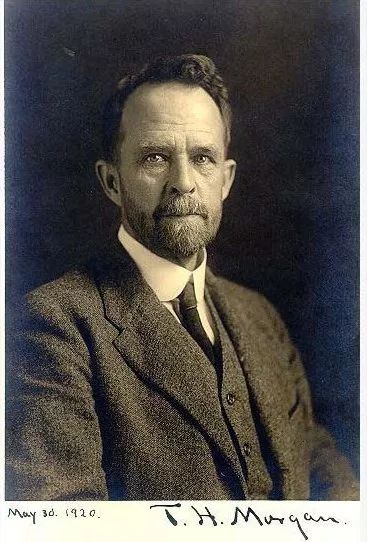 诺奖得主摩尔根84年前发表演说通过育种手段纯化和更新