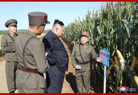 金正恩视察农场（朝中社）