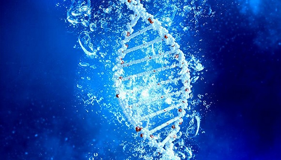 子公司遭调查 莆田系上市公司和美医疗紧急停