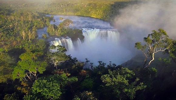 巴西新总统为开发亚马逊雨林开道,地球之肺再