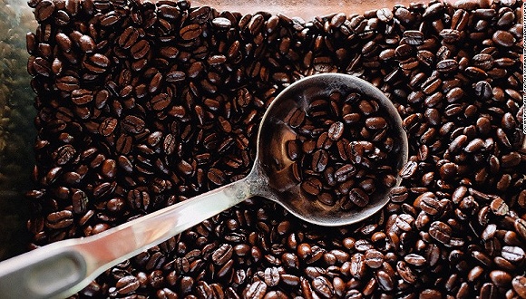 六成野生咖啡豆品种濒临灭绝,你爱喝的阿拉比