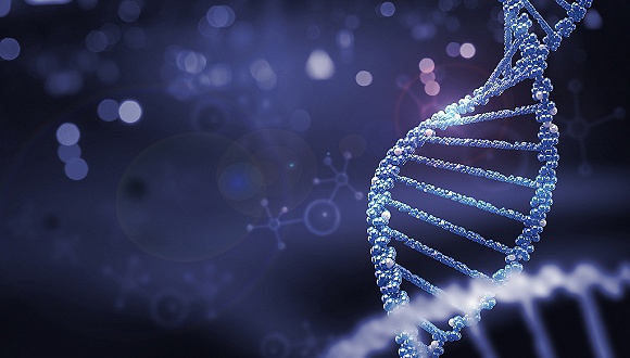 理疗仪怎么使用方法【3·15特别报道】4万元理疗仪“小神吹”用太赫兹技术治多种病？中科院院士：治病是胡闹_https://www.jmylbn.com_新闻资讯_第1张