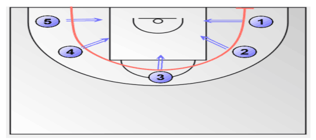 在圆弧上选取5个投篮点,每点放置一个支架,每个支架放5个球(女生3个)