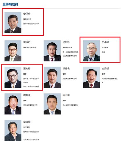  图为此次换届后中民投董事局成员构成，截图来源：中民投官网