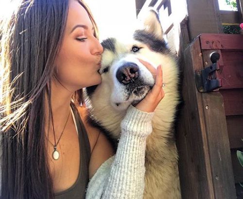 家里两只阿拉每天要亲亲抱抱,网友:这份爱可能有点沉重呀