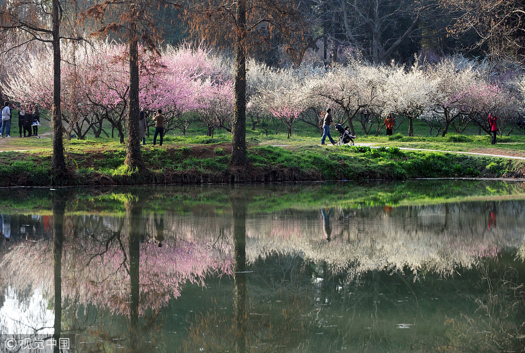 明天下雪?故宫门票卖光了!那就学古人踏雪寻