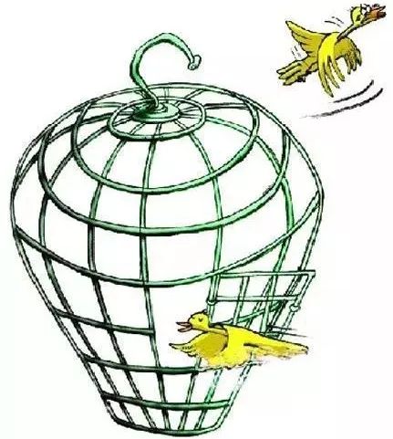 一大波抗癌药即将来袭,医保该如何"腾笼换鸟"