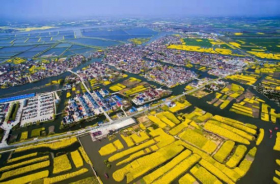 兴化东罗村,唐庄村入选江苏首批特色田园乡村|兴化_新浪新闻