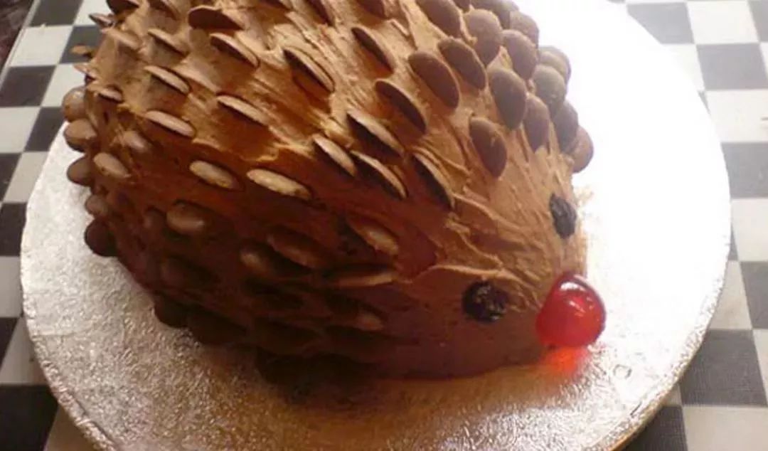 刺猬就应该长这样 卡哇伊!