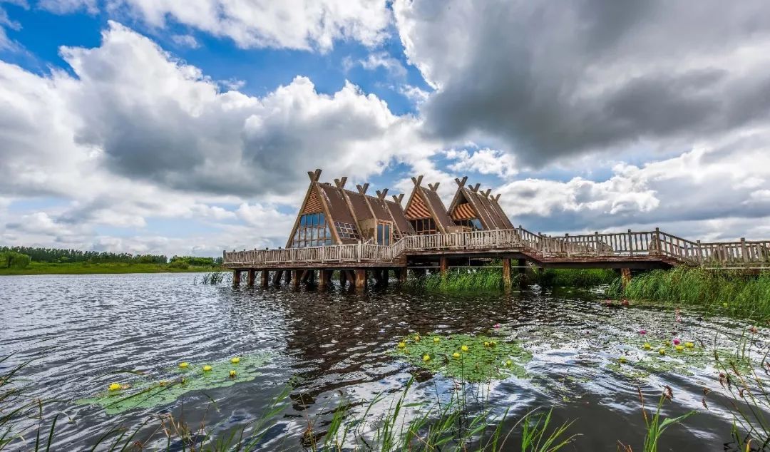 21 青岛姜山湿地马拉松:汗血宝马,羊驼领跑,前20名有奖金!