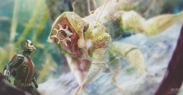 《蚁人2》又曝"量子"概念图 夫妻联手大战微生怪物