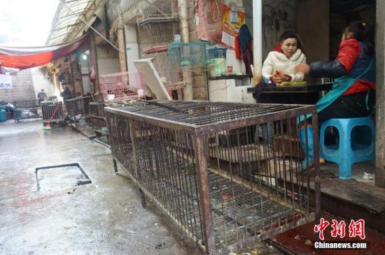 资料图:2015年2月11日,贵阳市发现1例人感染H7N9禽流感病例,部分活禽交易场所检测出H7N9禽流感病毒核酸呈阳性。图为休市后商贩们在火炉旁闲聊。 中新社发 贺俊怡 摄