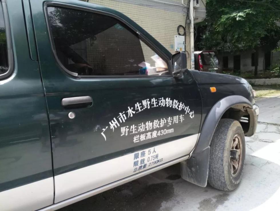 是否是同一条 因此并不确定流溪河里 还有没有其他鳄鱼出没