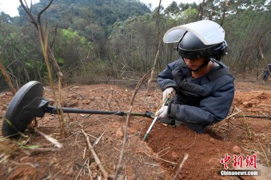 中越边境广西扫雷队(东线)搜排手正在作业 中新社记者 俞靖 摄