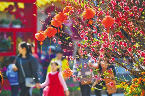 提早逛迎春花会