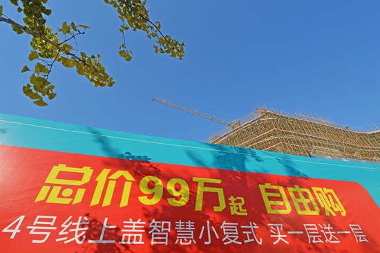 2015年11月2日，北京地铁4号线天宫院站附近正在开发的小区。