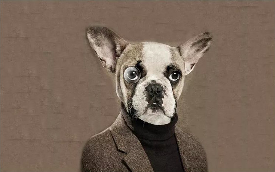 中国版女性觉醒,公益圈媒体圈沦陷,两天至少6名公知被控有性侵骚扰