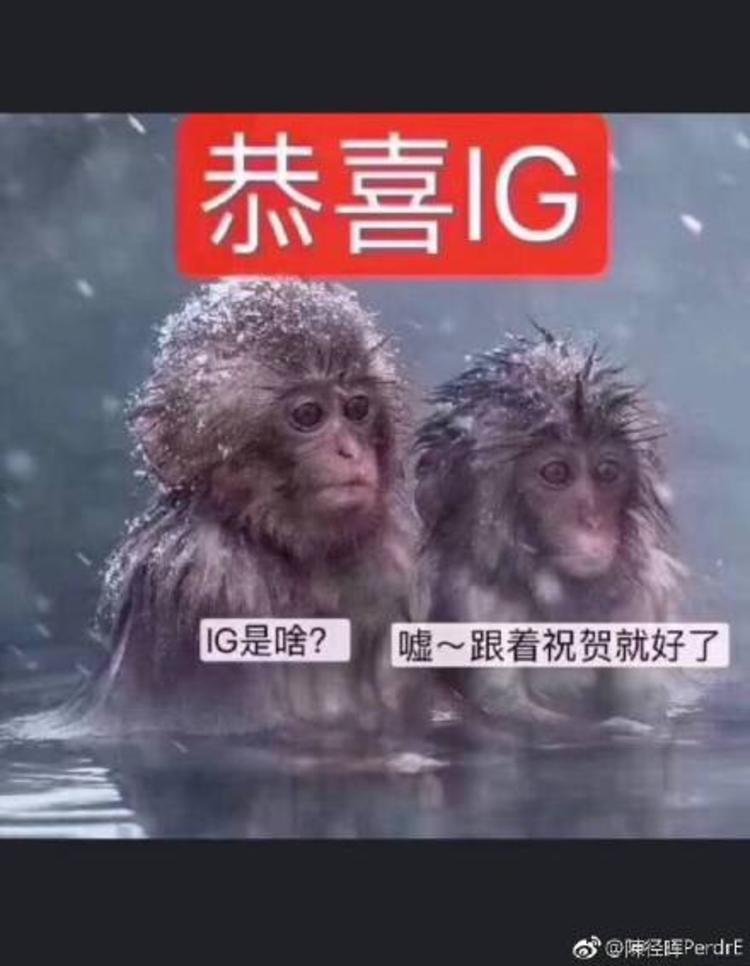 iG夺冠后 一批每天上网的年轻人感觉被时代抛弃