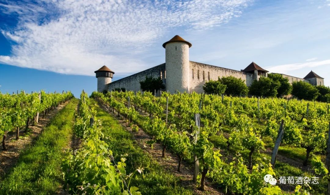 波尔多经典传承不止法国拉蒙继往开来