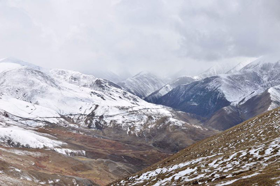 西藏丁青县喜迎踩线考察团 嘉宾积极发言献计献策