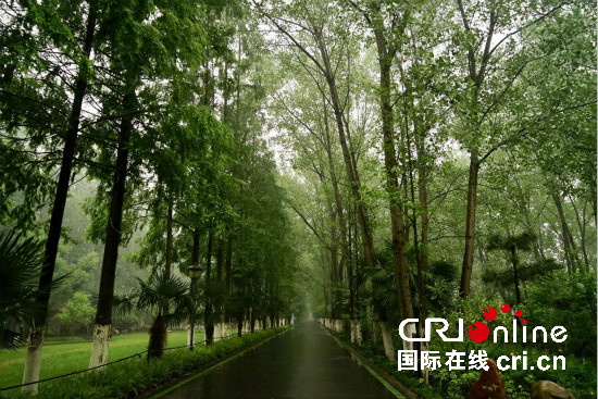 阿尔巴尼亚大V:从合肥看中国改革开放四十年的